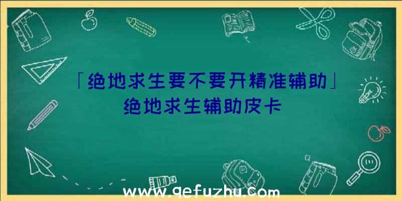 「绝地求生要不要开精准辅助」|绝地求生辅助皮卡